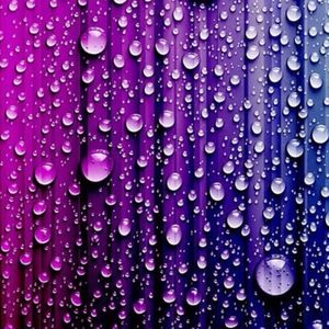 Meet your Posher, Krista